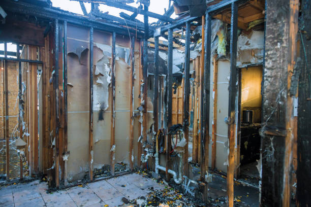 Professional Emergency Fire Cleanup technician working in Springerville, AZ
